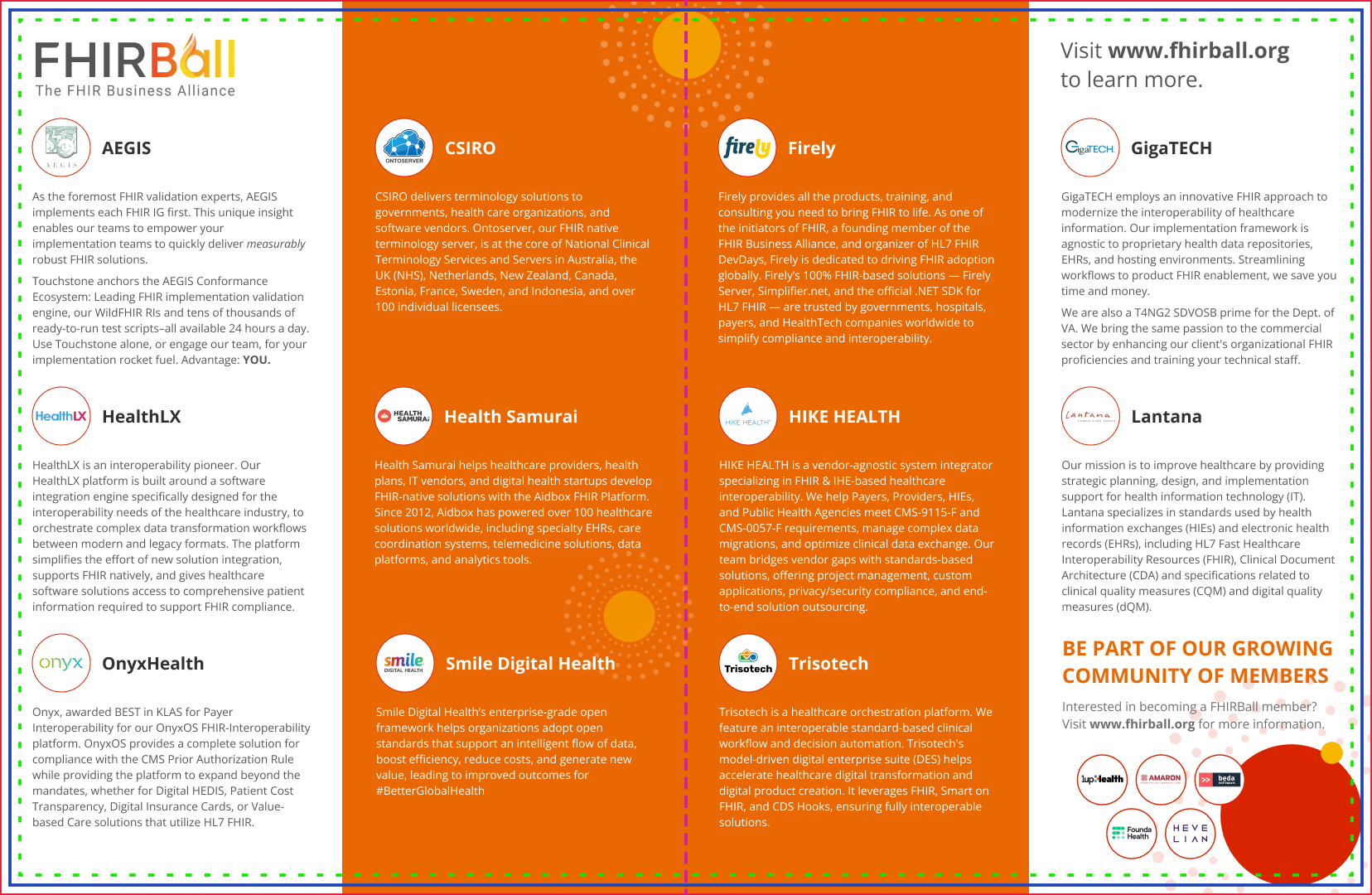 FHIRBall Company Write-Ups